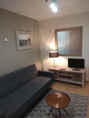 Coqueto apartamento centro VIGO con WIFI